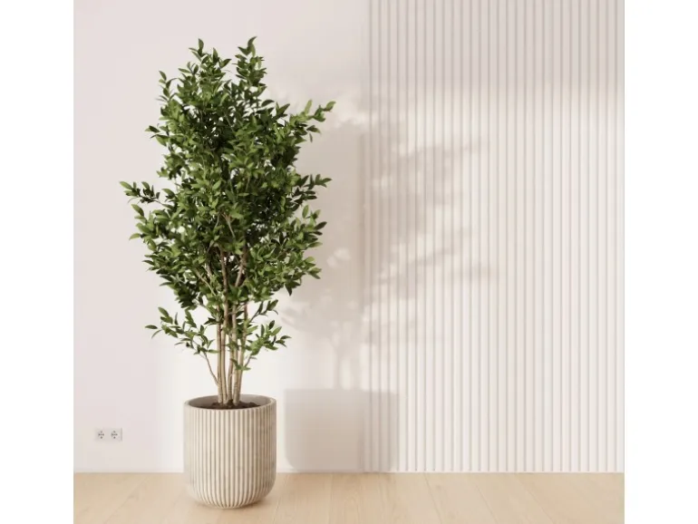 Akustikpaneel Wandverkleidung Foliert Weiß Akustikfilz Weiß 240 cm FSC®