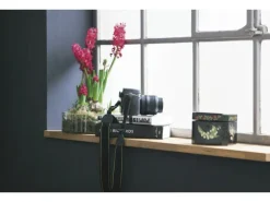 Alpina Farbrezepte Dunkle Eleganz matt 1 Liter