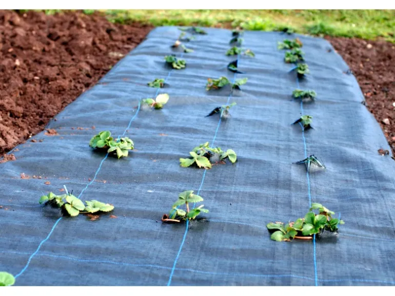 Aquagart 5m² Bodengewebe Unkrautfolie Mulchfolie 100g 1,65m Breit Schwarz