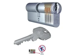 Basi - AS - Profil-Knaufzylinder - K30/30 mm - Verschiedenschließend