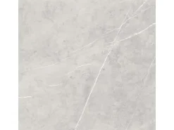 Bodenfliese Feinsteinzeug Grau 60 cm x 60 cm