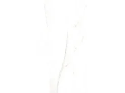 Bodenfliese Feinsteinzeug Glasiert Poliert 60 cm x 120 cm