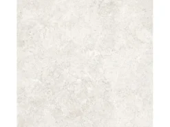 Bodenfliese Feinsteinzeug Jurassic 60 cm x 60 cm