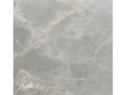 Bodenfliese Feinsteinzeug 60 cm x 60 cm