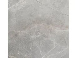 Bodenfliese Feinsteinzeug 60 cm x 60 cm