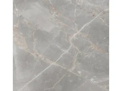 Bodenfliese Feinsteinzeug 60 cm x 60 cm