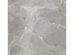 Bodenfliese Feinsteinzeug 60 cm x 60 cm