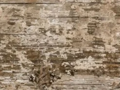 Bodenfliese Feinsteinzeug Braun Matt 90 cm x 15 cm