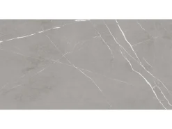 Bodenfliese Feinsteinzeug Grau 60 cm x 120 cm