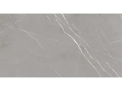 Bodenfliese Feinsteinzeug Grau 60 cm x 120 cm