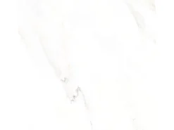 Bodenfliese Feinsteinzeug 60 cm x 60 cm