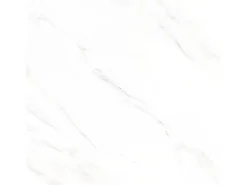 Bodenfliese Feinsteinzeug 60 cm x 60 cm