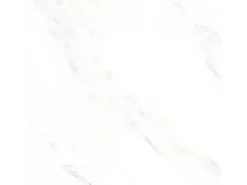 Bodenfliese Feinsteinzeug 60 cm x 60 cm