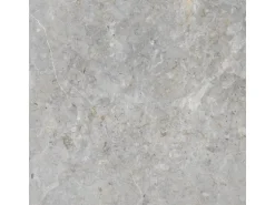 Bodenfliese Feinsteinzeug Grau 60 cm x 60 cm