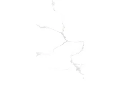 Bodenfliese Feinsteinzeug Weiß 60 cm x 120 cm