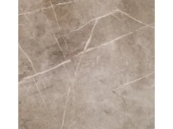 Bodenfliese Feinsteinzeug Braun Glänzend 58 cm x 58 cm