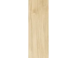 Bodenfliese Feinsteinzeug Matt 60 cm x 20 cm