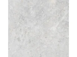 Bodenfliese Feinsteinzeug 60 cm x 60 cm