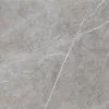 Bodenfliese Feinsteinzeug Grau 60 cm x 60 cm