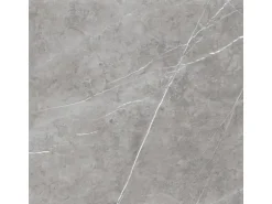 Bodenfliese Feinsteinzeug Grau 60 cm x 60 cm
