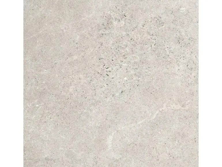 Bodenfliese Feinsteinzeug Kaspio Grau Glasiert Matt 59,8 cm x 59,8 cm