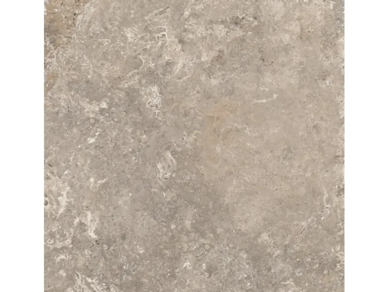 Bodenfliese Feinsteinzeug 60 cm x 60 cm
