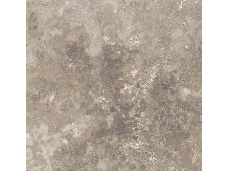 Bodenfliese Feinsteinzeug 60 cm x 60 cm