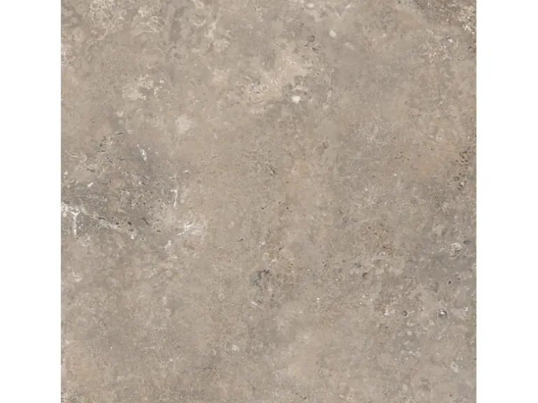 Bodenfliese Feinsteinzeug 60 cm x 60 cm