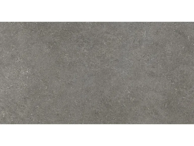 Bodenfliese Feinsteinzeug Grau 60 cm x 120 cm