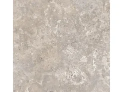 Bodenfliese Feinsteinzeug Grau 60 cm x 60 cm