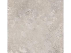 Bodenfliese Feinsteinzeug Grau 60 cm x 60 cm