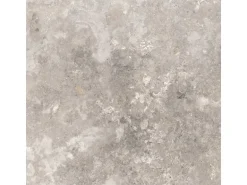 Bodenfliese Feinsteinzeug Grau 60 cm x 60 cm