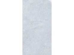 Bodenfliese Feinsteinzeug Sondrio Grau 60 cm x 30 cm