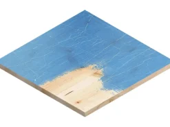 Bosch Expert Schleifblatt C470 Ø 150 mm K120 5 Stück