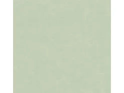 Bricoflor Salbei Tapete Hell Grüne Vliestapete Modern Ideal für Schlafzimmer und Wohnzimmer Uni Wandtapete in Salbeigrün mit Vinyl