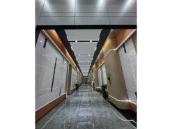 Colortree Akustikpaneele Wandpaneele Silber Metall Optik Wasserdicht Akustik Dämmend 4 Stück Ungefähr 260x16,5cm