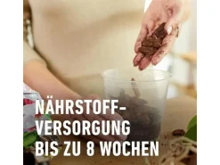 Compo Sana Orchideenerde 5 l torffrei