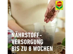 Compo Sana Orchideenerde 10 l torffrei