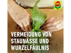 Compo Sana Orchideenerde 10 l torffrei
