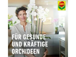 Compo Sana Orchideenerde 10 l torffrei