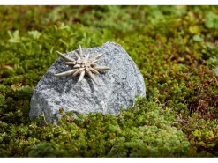 Deko-Figur Edelweiß auf Schwarzwaldgranit 15 cm x 15 cm