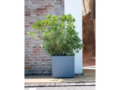 Deroma Pflanztopf Quadro Millenium 49 cm x 49 cm x 49 cm Aschgrau