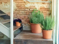 Deroma Pflanztopf Zylinder Bordato 38 cm Rot