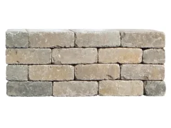 Diephaus Mauerstein Collo Muschelkalk 30 x 10 x 10 cm