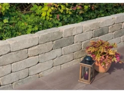 Diephaus Mauerstein Collo Muschelkalk 30 x 10 x 10 cm