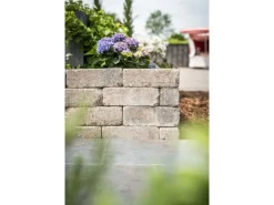 Diephaus Mauerstein Collo Muschelkalk 30 x 10 x 10 cm