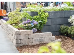 Diephaus Mauerstein Collo Muschelkalk 30 x 10 x 10 cm