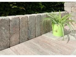 Diephaus Mauerstein Collo Muschelkalk 30 x 10 x 10 cm