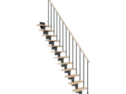 Dolle Mittelholmtreppe Dublin Buche Anthrazit GH bis 270 cm Gerade 65 cm FSC
