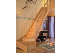 Dolle Raumspartreppe Paris 1/4-gew. Rechts Setzstufe Buche R-Geländer FSC®